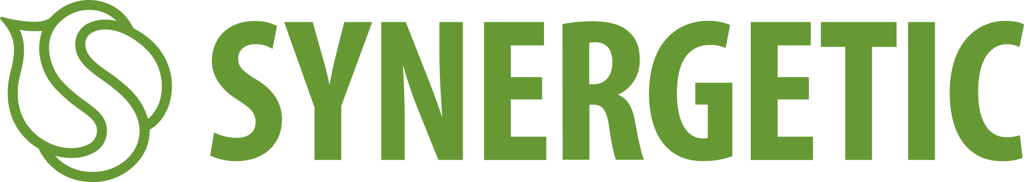 SYNERGETIC